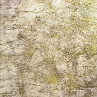 EVOLUTION - Stucco metallico su Evolution