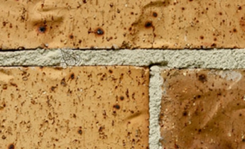 Sandtex pitture - NEUTRAL prodotto speciale