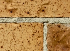 Sandtex pitture - NEUTRAL prodotto speciale