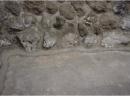 harpo sandtex cementi - acquario napoli
