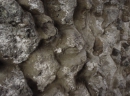 Efflorescenze per effetto della penetrazione del Vandex Mineralit